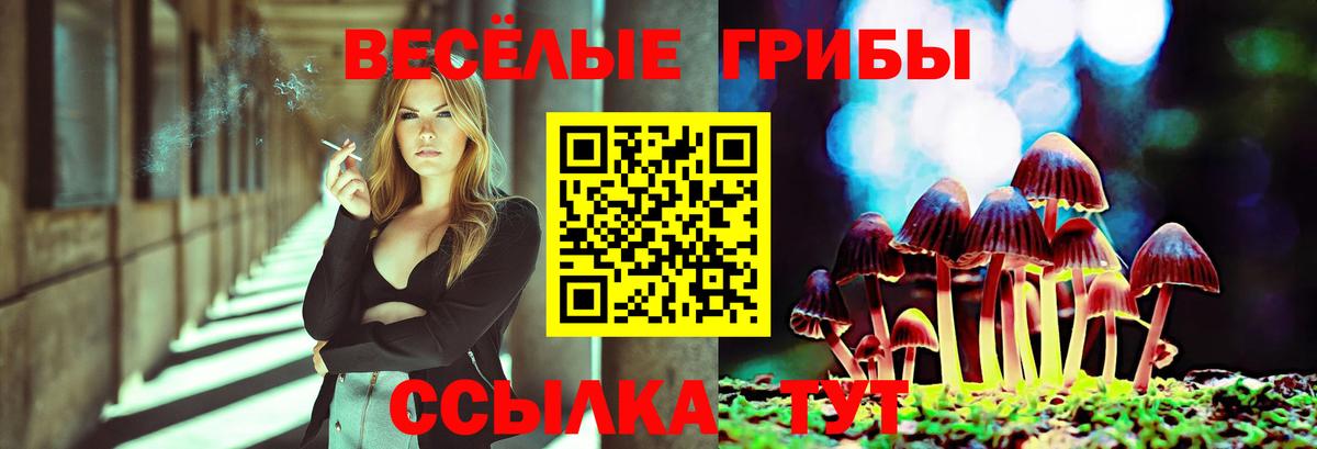 Галлюциногенные грибы Psilocybine cubensis  Вход с VPN  Красноуфимск 